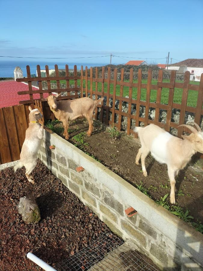 Alojamento Raminho Dos Acores アングラ・ド・エロイーズモ エクステリア 写真
